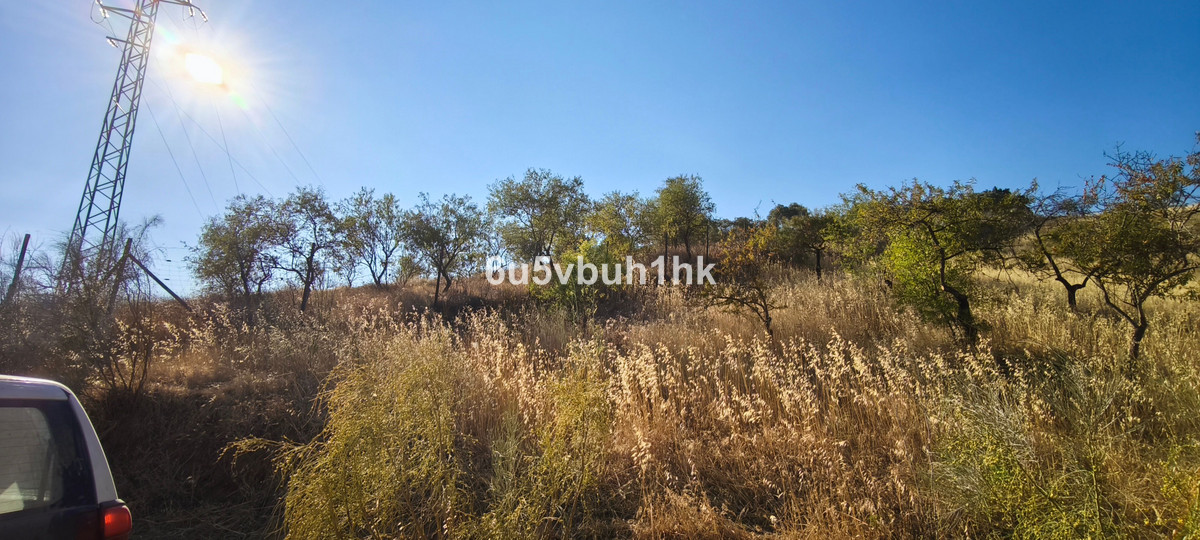 Property main view 12
