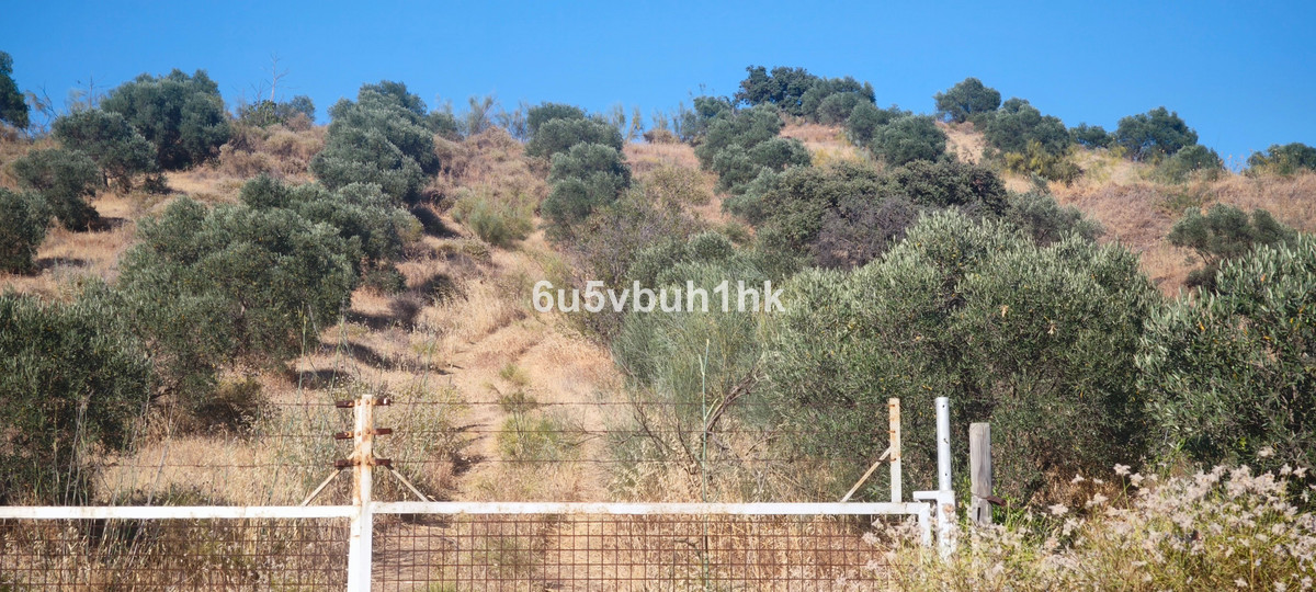Property main view 13