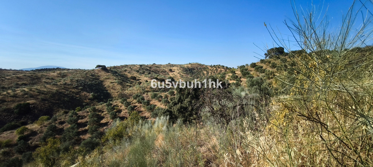 Property main view 14