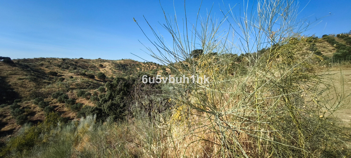 Property main view 15