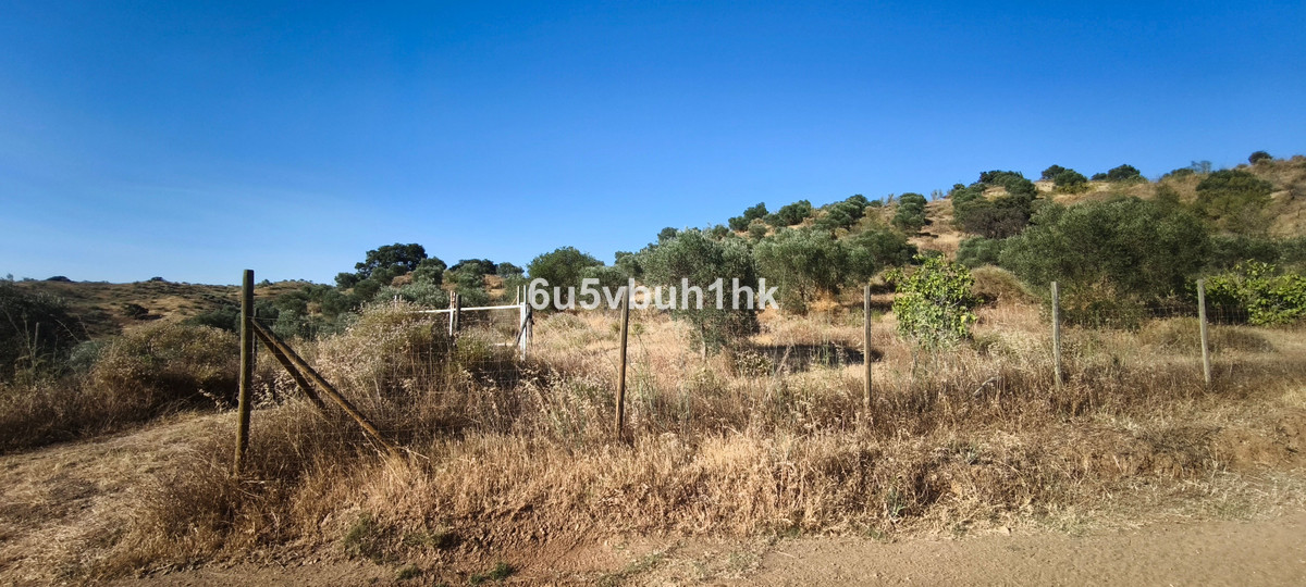 Property main view 2