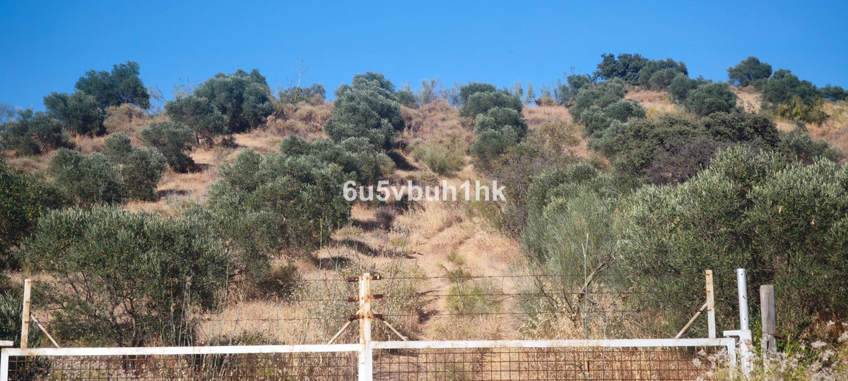 Property main view 4