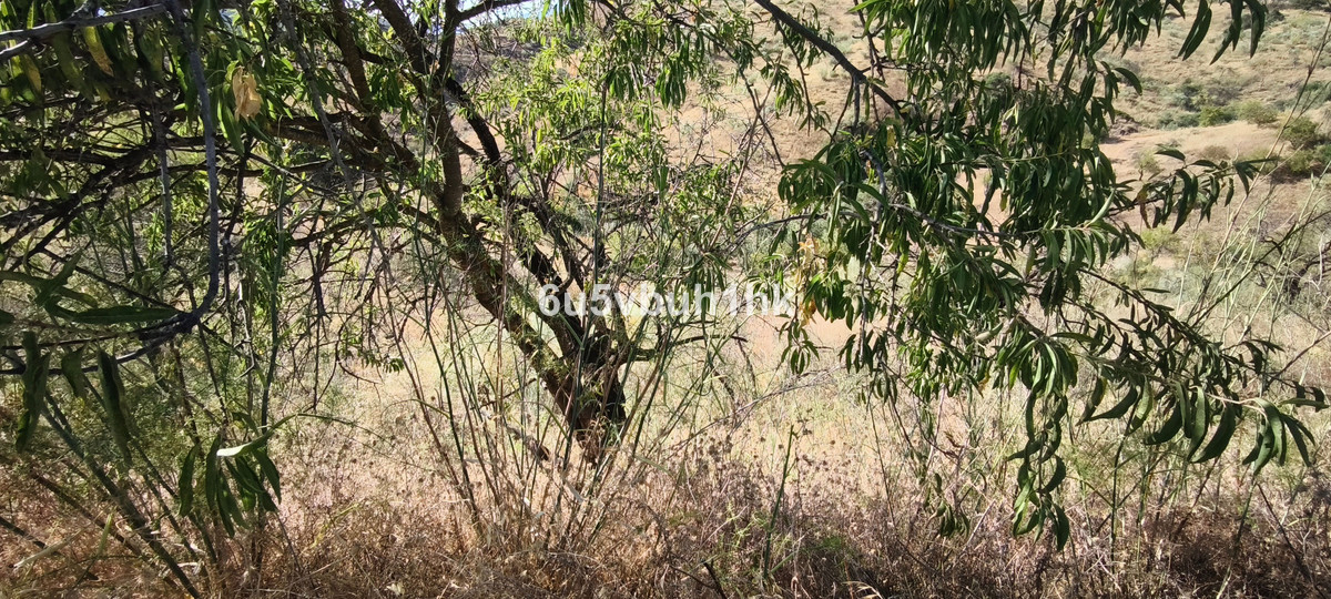 Property main view 12