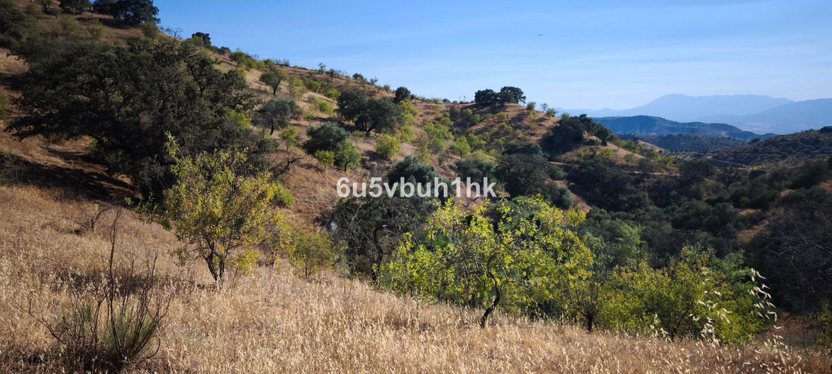 Property main view 14