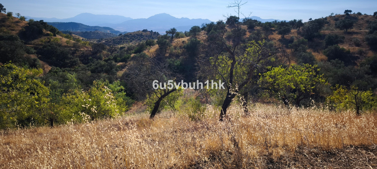 Property main view 15