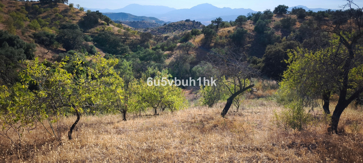 Property main view 16