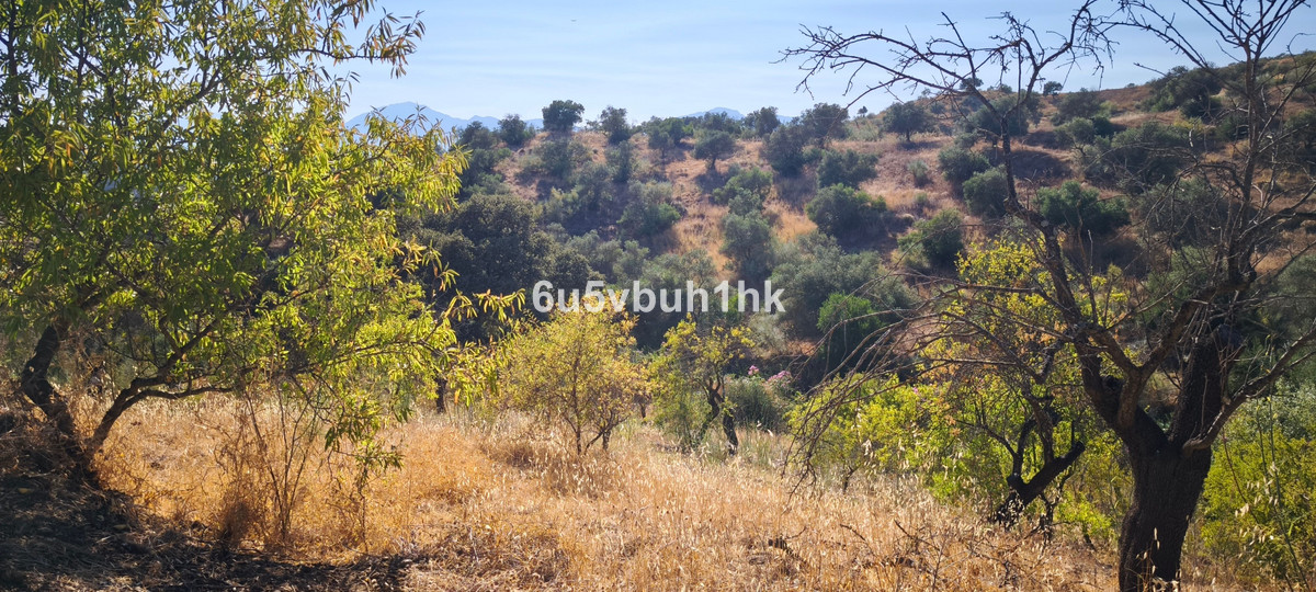 Property main view 17