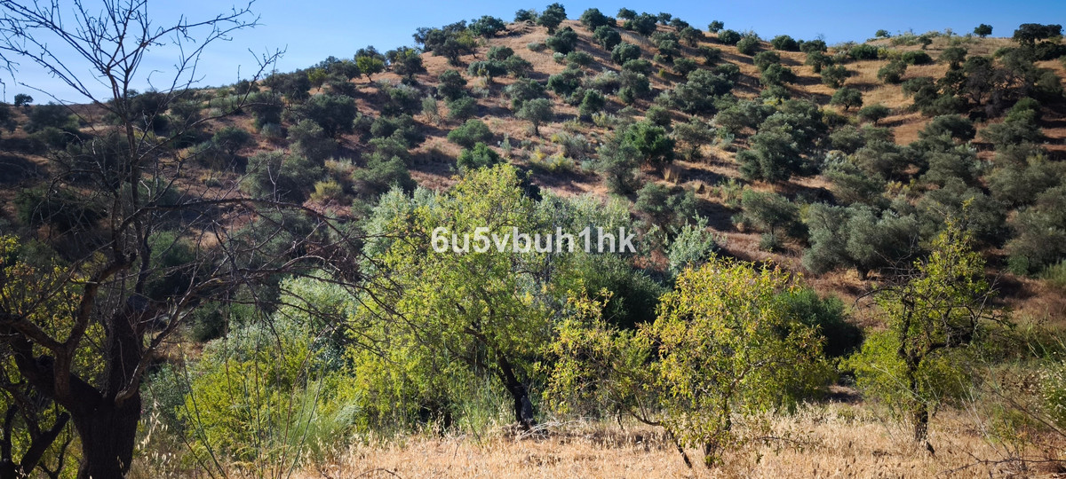 Property main view 18