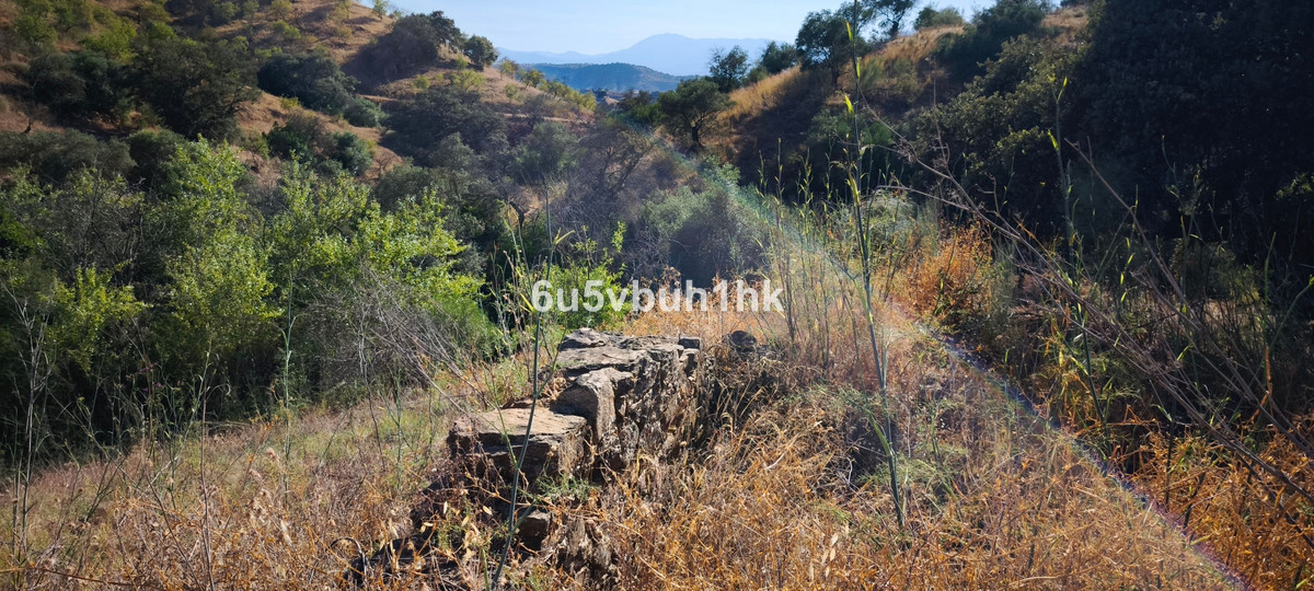 Property main view 19