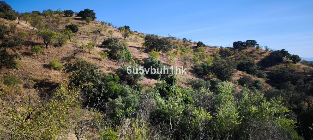 Property main view 20