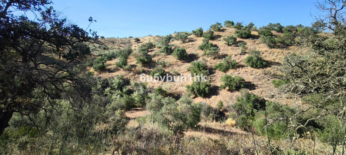 Property main view 22