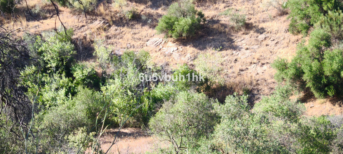 Property main view 23