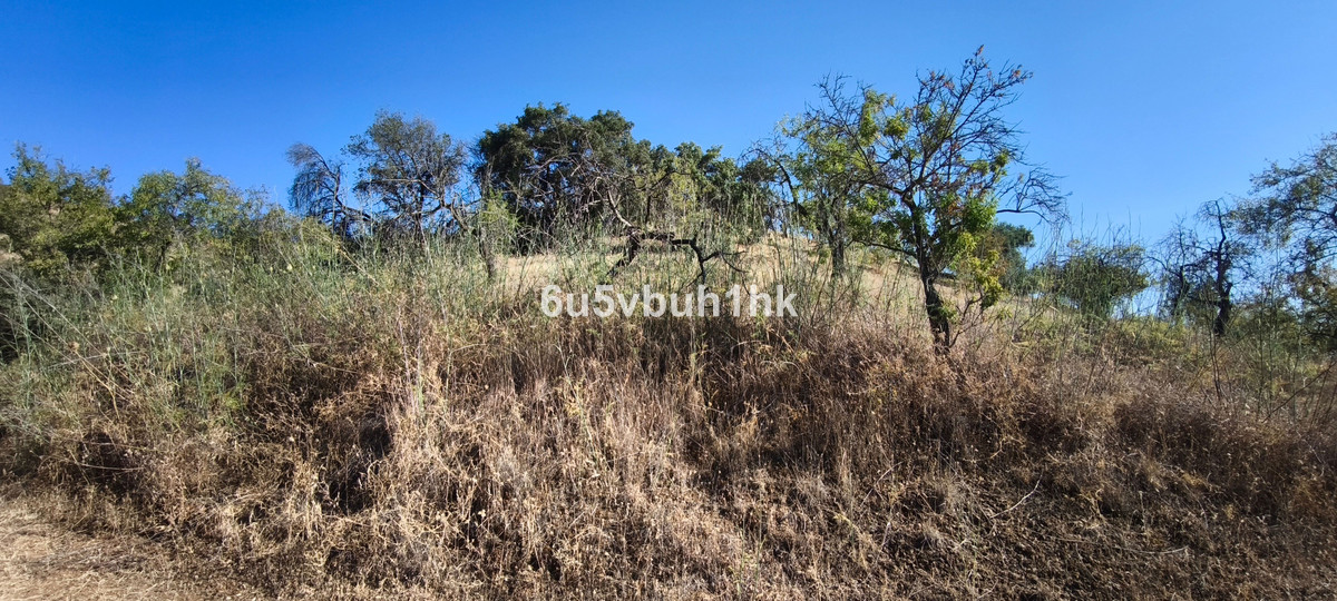 Property main view 24