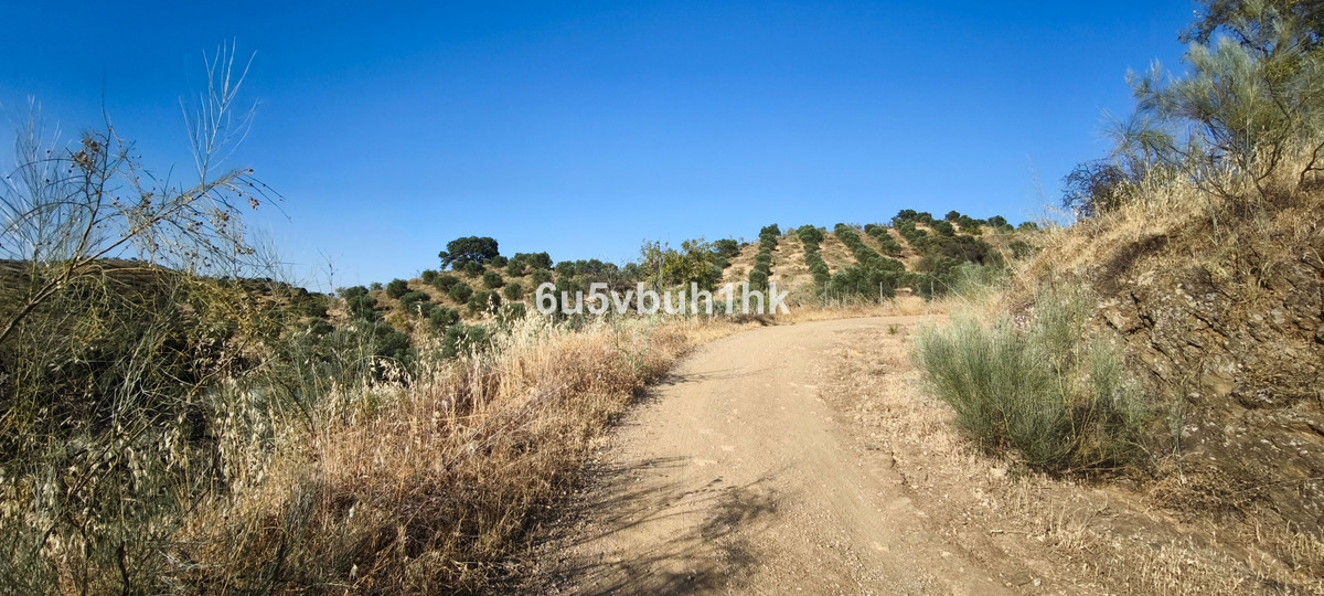 Property main view 25