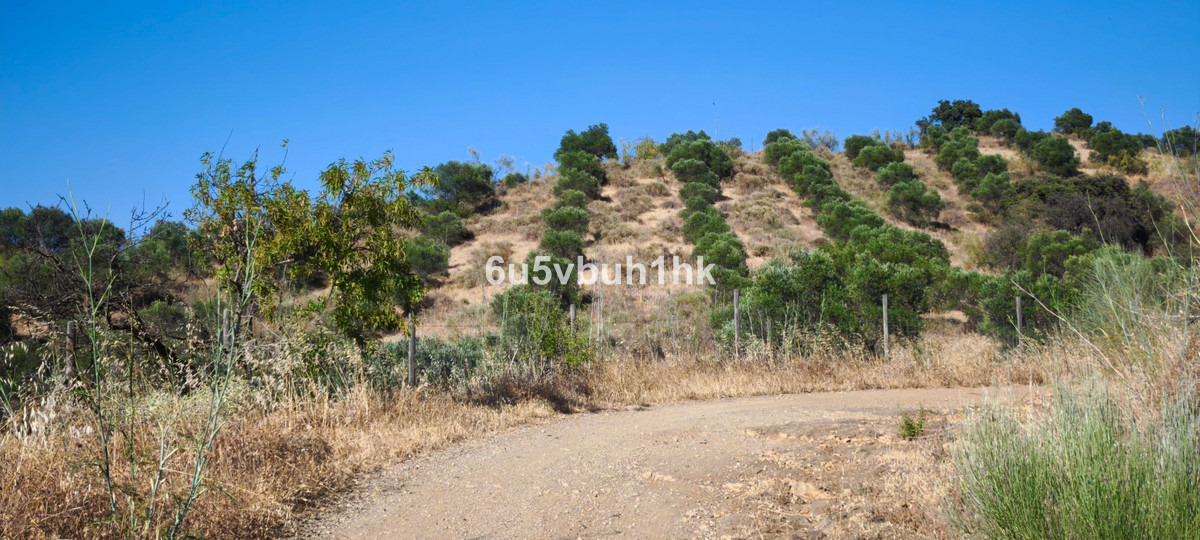 Property main view 26