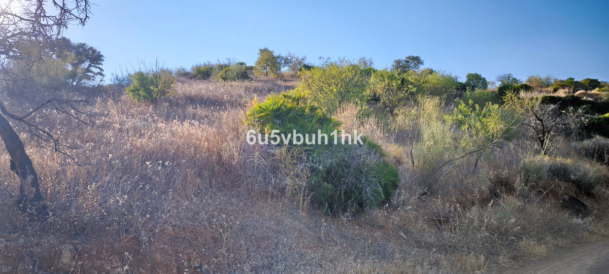 Property main view 30