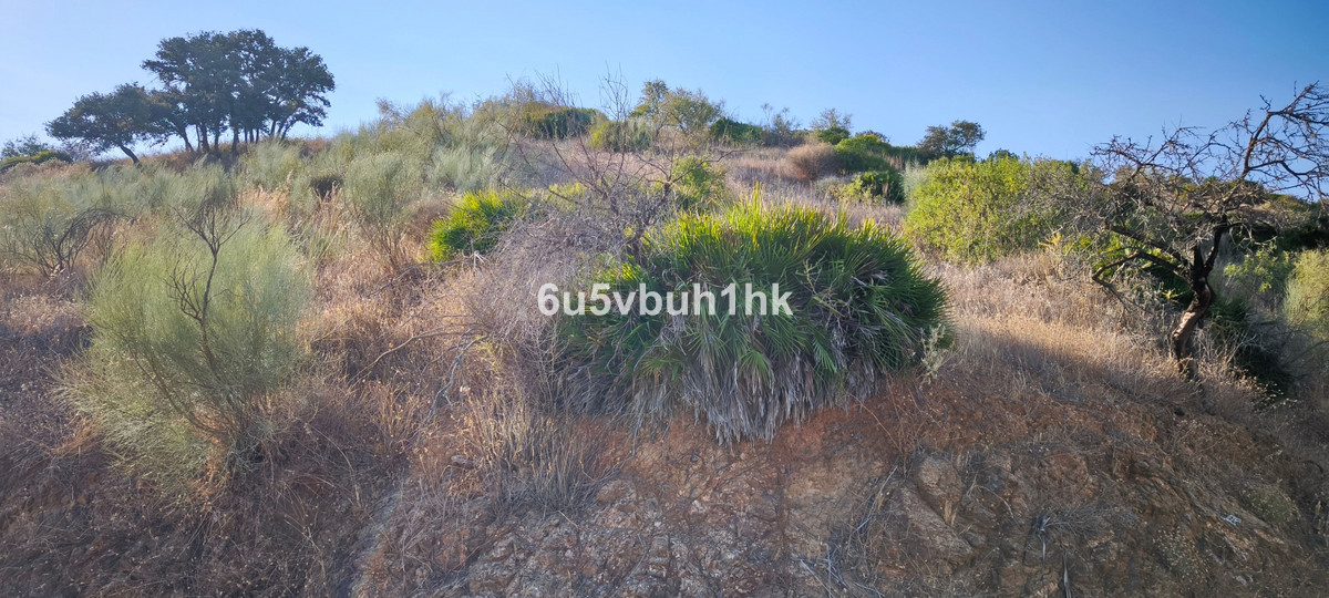 Property main view 31
