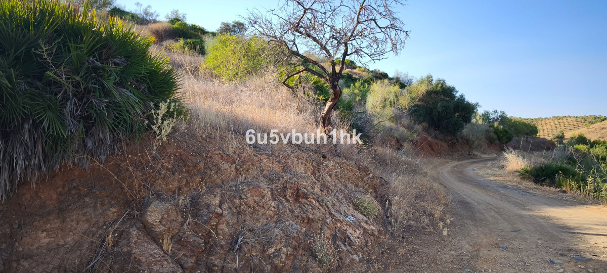 Property main view 33