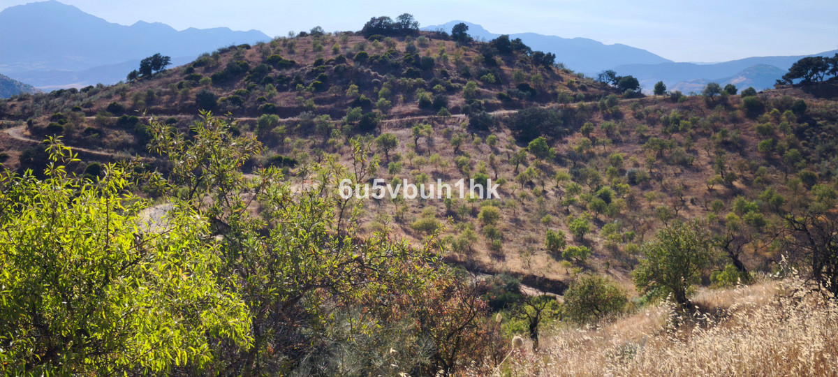 Property main view 5