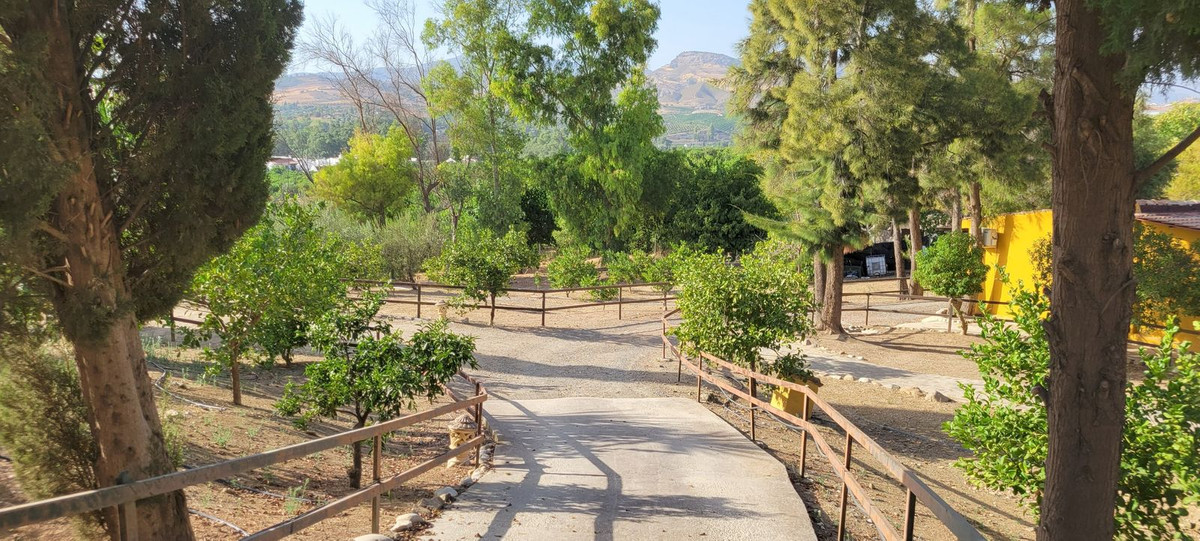 Property main view 41