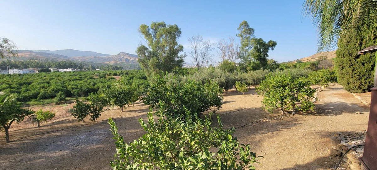 Property main view 58
