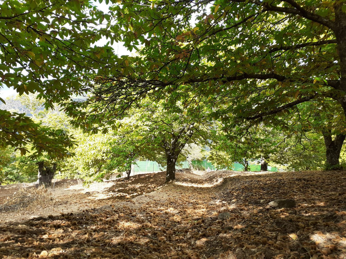 Property main view 2