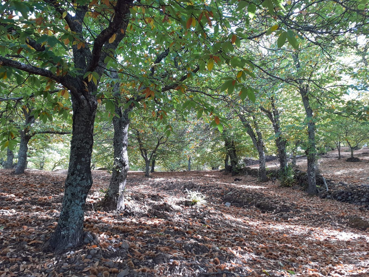 Property main view 3