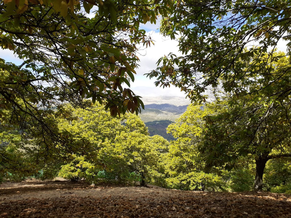 Property main view 4