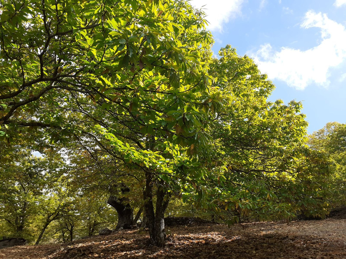 Property main view 5