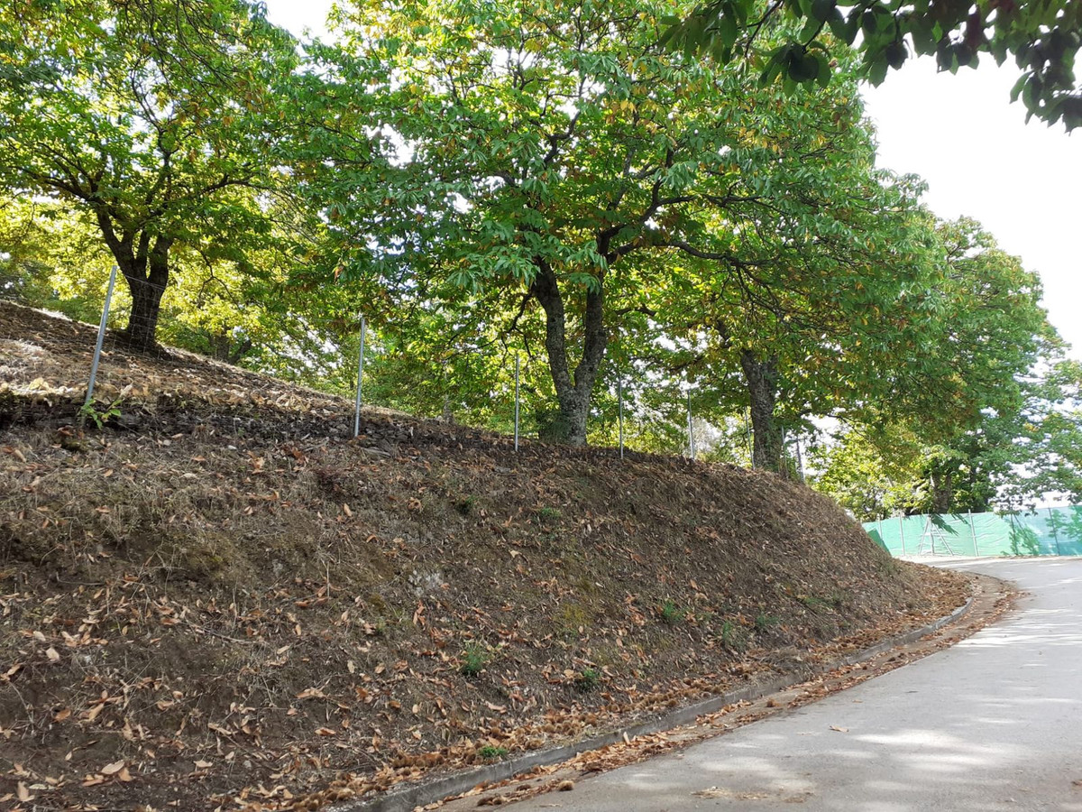 Property main view 7