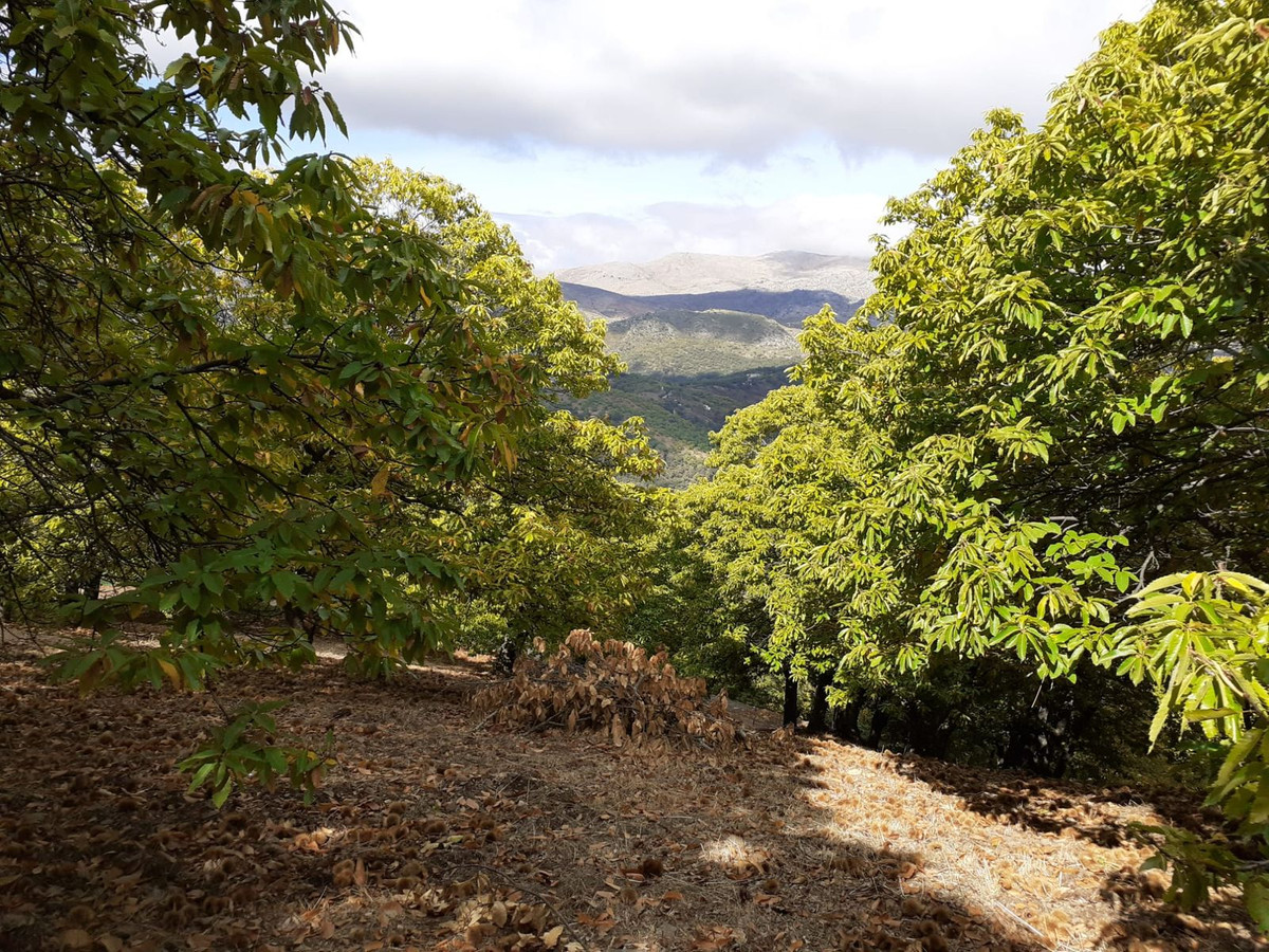 Property main view 8