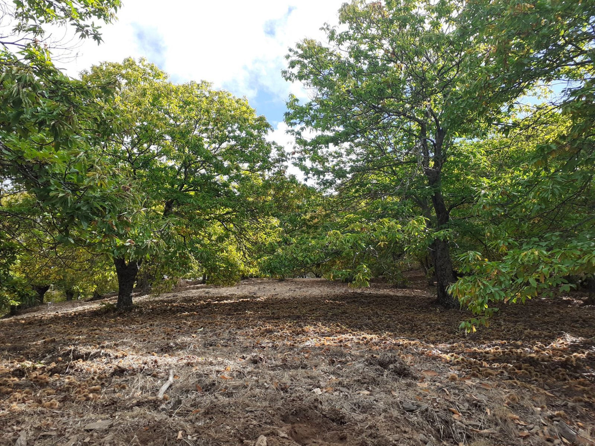 Property main view 9