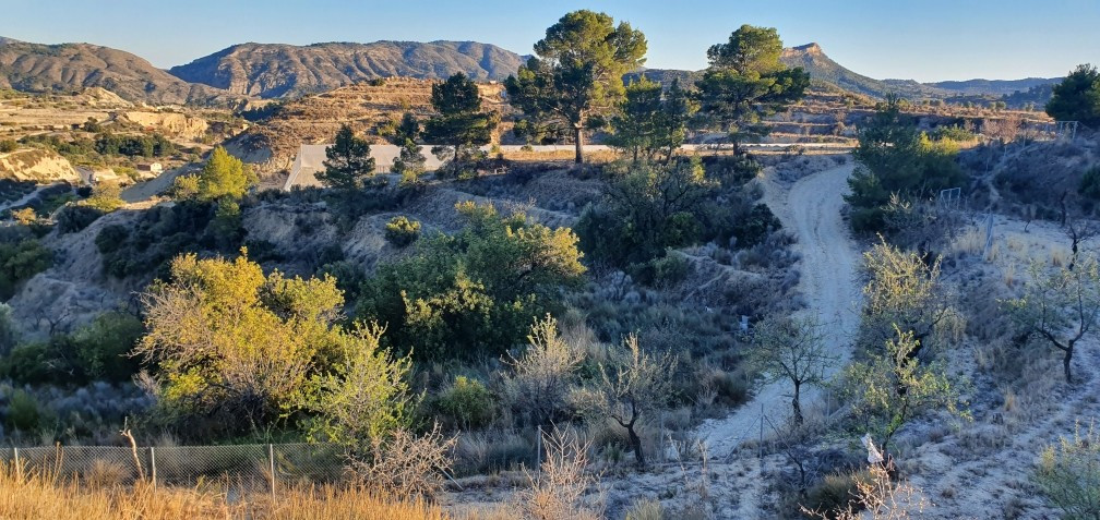 Grond te koop in Relleu | 0 slaapkamers H4144873