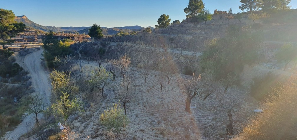 Grond te koop in Relleu | 0 slaapkamers H4144873