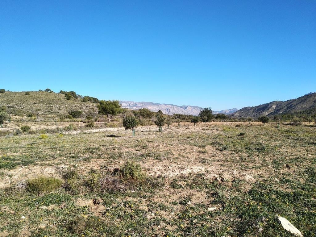 Property main view 10