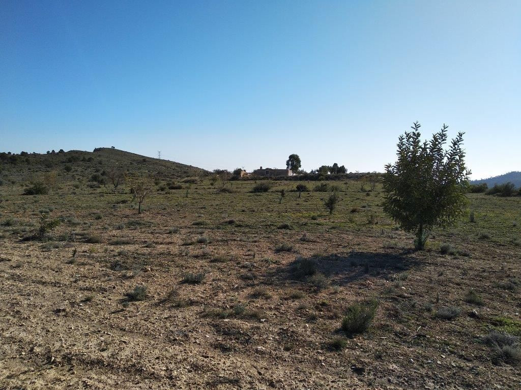 Property main view 12