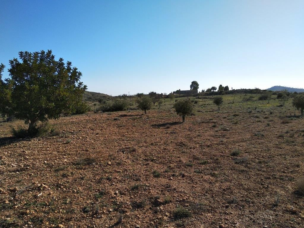 Property main view 13