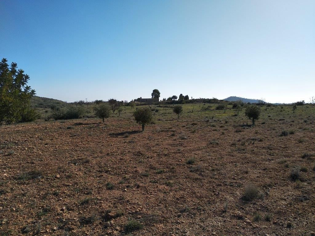 Property main view 14