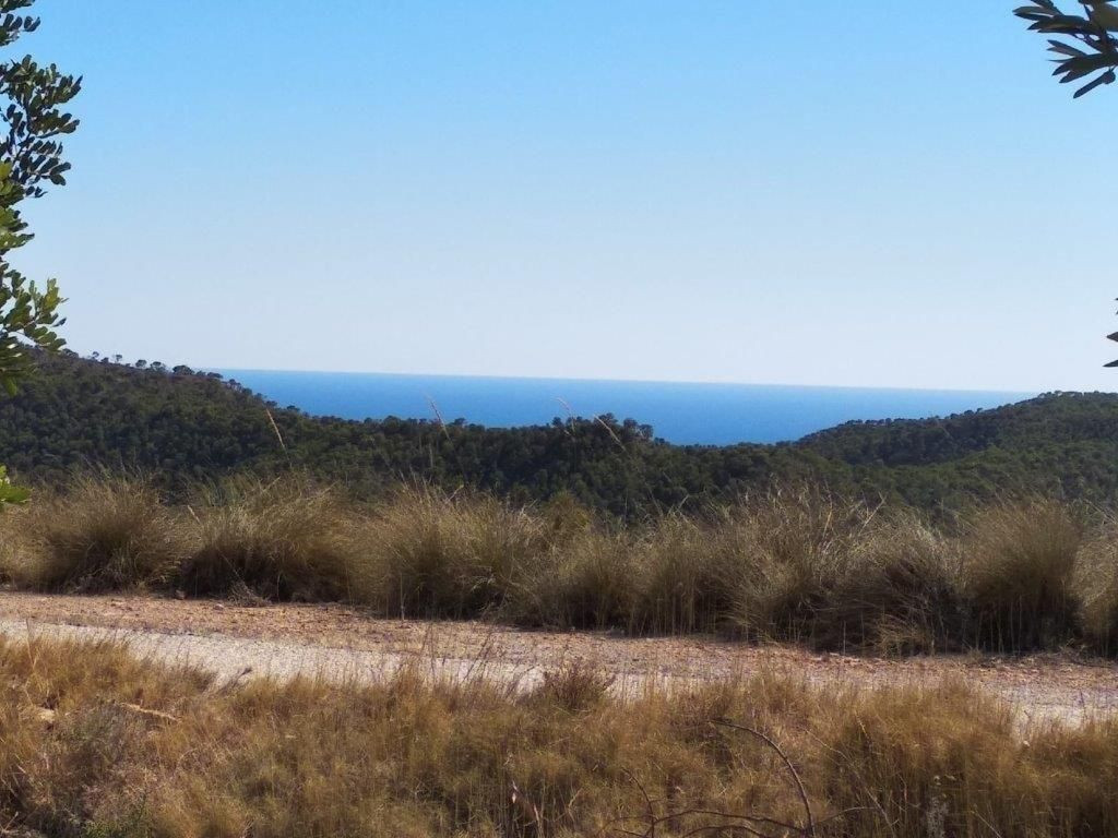 Property main view 15