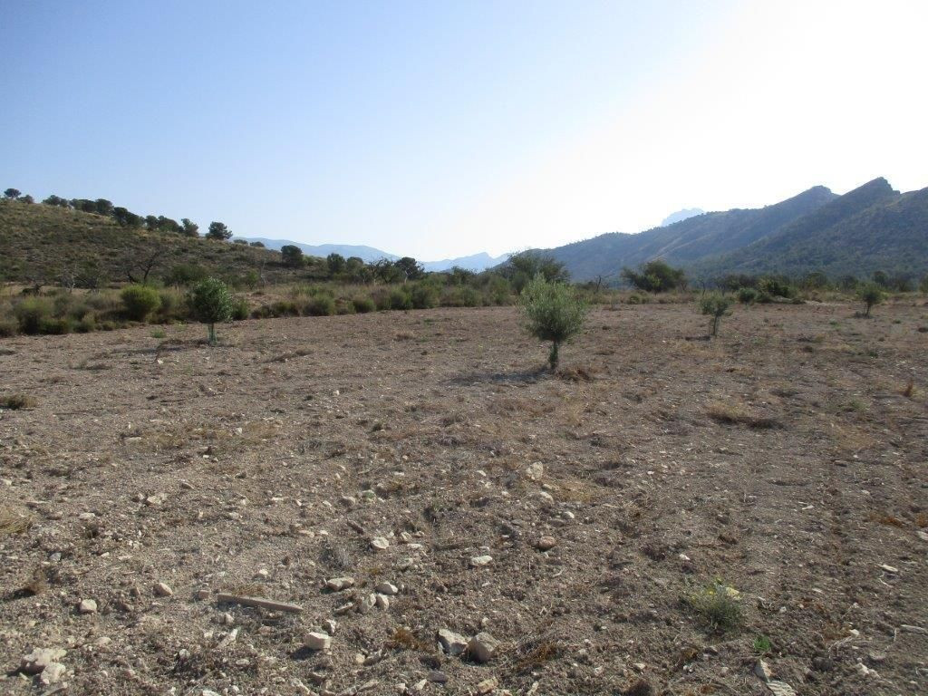 Property main view 21