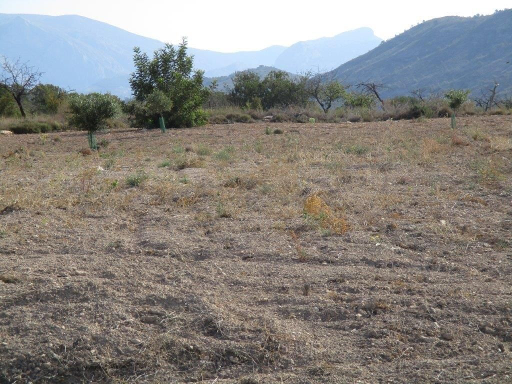 Property main view 22