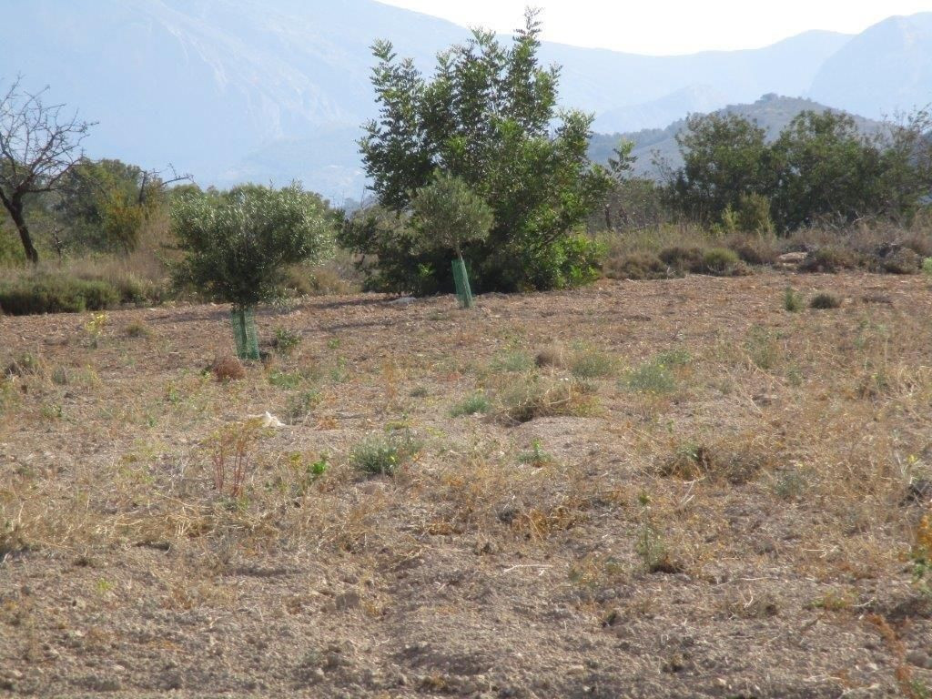 Property main view 23