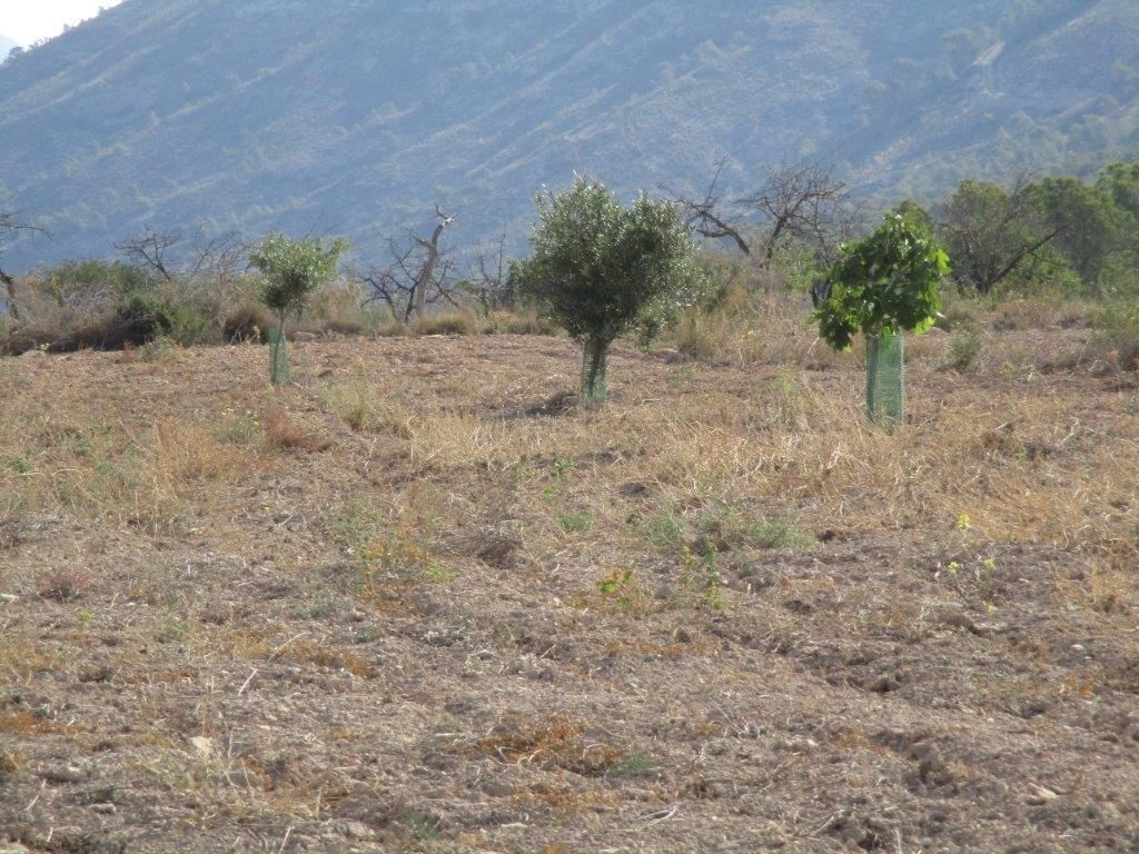 Property main view 24