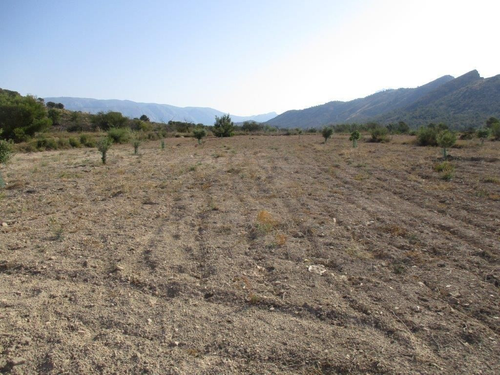 Property main view 25