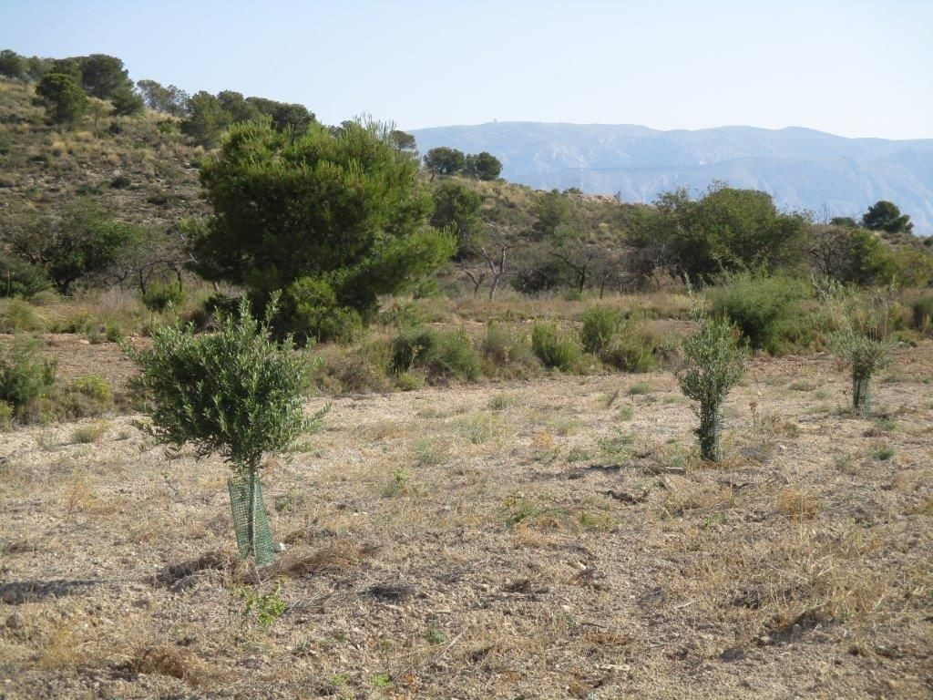 Property main view 26