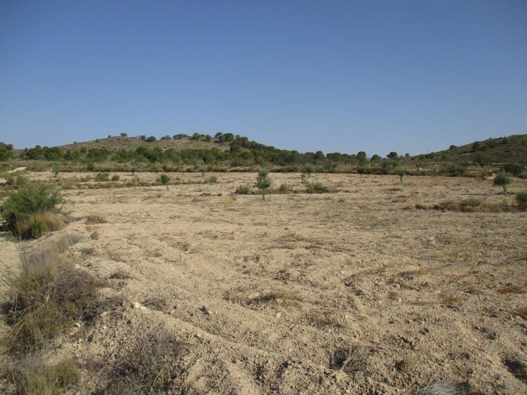 Property main view 27