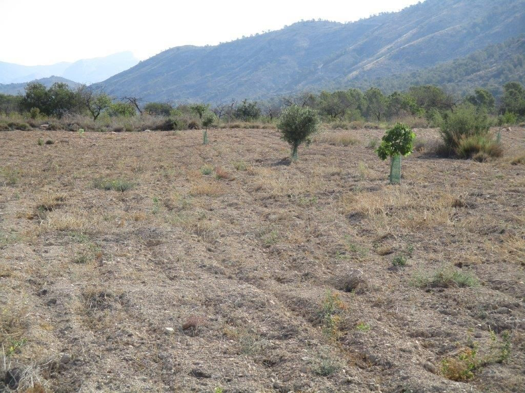 Property main view 29