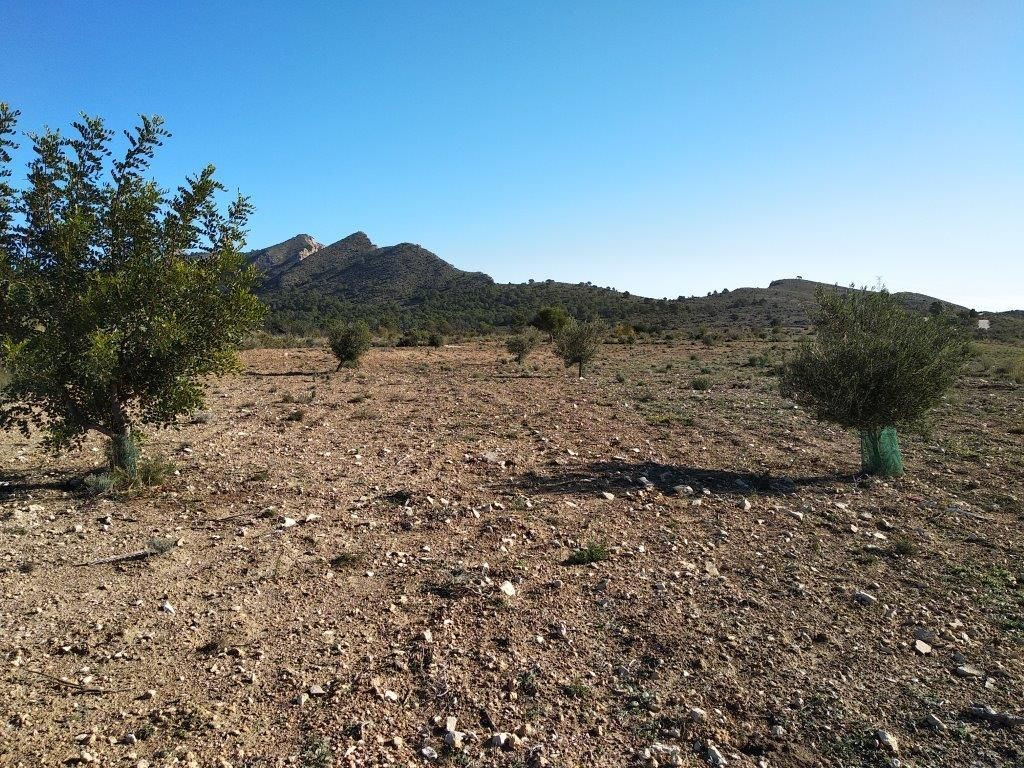 Property main view 3