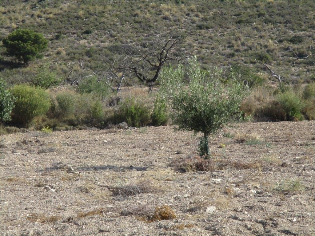 Property main view 30