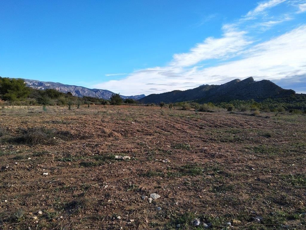 Property main view 31